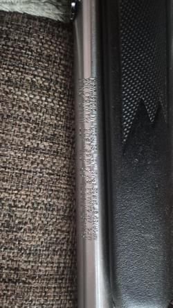 Savage mod 93 22wmr