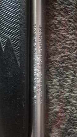 Savage mod 93 22wmr