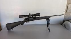 Savage model 93,cal 22w.m.r.