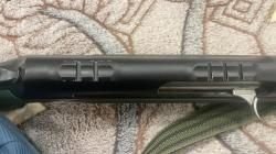 Sayer 303