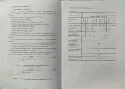 Сайга 100