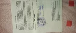 Сайга 12 к Легион