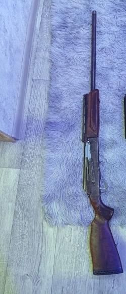 Сайга 12