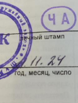 Сайга 12к
