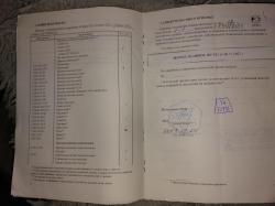 Сайга 12К