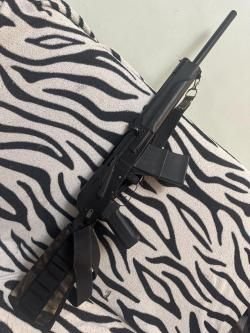 Сайга 20к