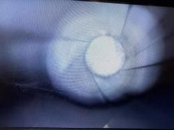 Сайга 308-1 (7,62x51)