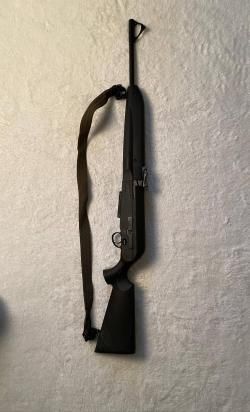 Сайга 308-1
