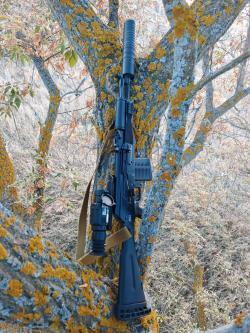 Сайга 308 исп 46