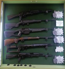 Сайга 308 исп 61