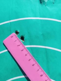 Сайга 308 исп. 61