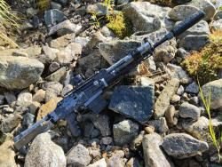 Сайга 308