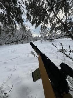Сайга 308