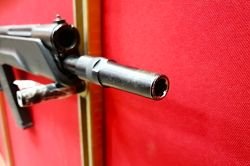 Сайга 410, кал. 410/76