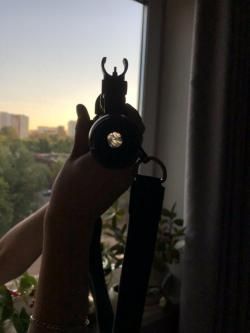 сайга мк