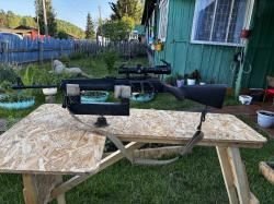 Сайга охотвариант 