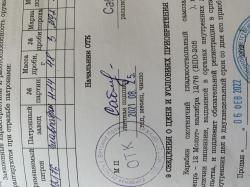 Вепрь 12 Молот