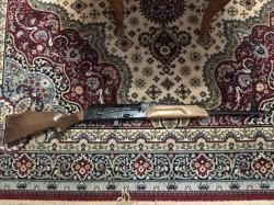 Сайга 