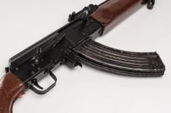 Сайга