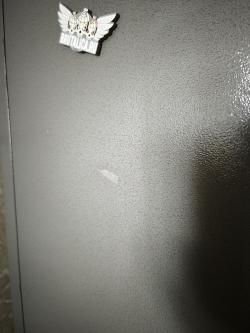 Сейф оружейный Леопард 12