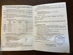 Сейф Тигр тип MW