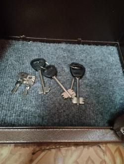 Шкаф оружейный ОШ2