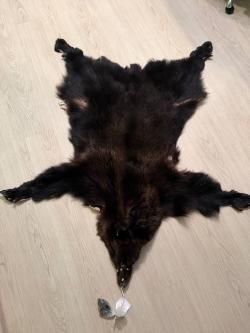 Шкура Медведя