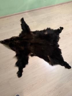 Шкура Медведя