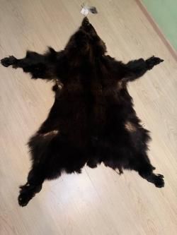 Шкура Медведя