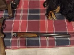 Штучный Иж 27