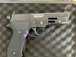 Sig Sauer 226