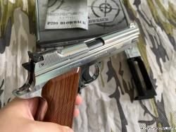 SIG SAUER P210 Никель ✅️