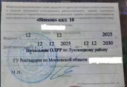 Simson
