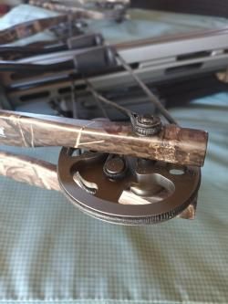 Скальд и Тактик.