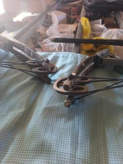 Скальд и Тактик.