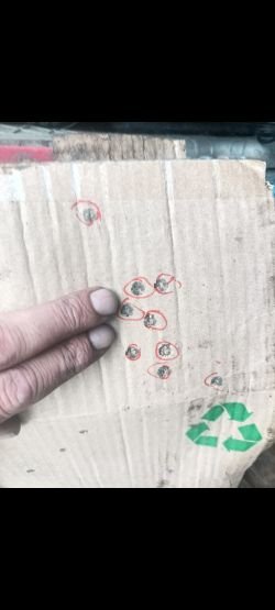 Скс