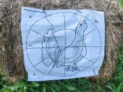 Соболь 22wmr ручной работы штучное