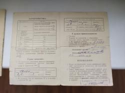 Спортивно-охотничье ружьё ИЖ-12, г.в. 1964г.