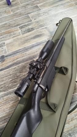 Stayer Mannlicher 300 win mag