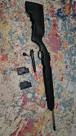 Stayer mannlicher scout 223 REM