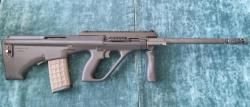 Steyr Aug