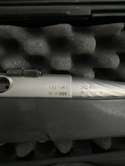 Steyr Mannlicher 243 win