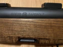 Steyr Mannlicher 30-06spr.