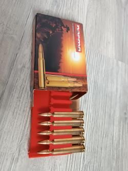 Steyr Mannlicher 300wm