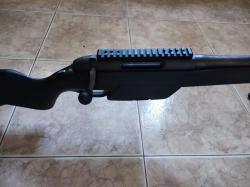 Steyr Mannlicher Pro Hunter 308 Win