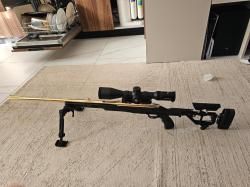 Steyr Mannlicher sbs 96 classic GOLD 24 ct