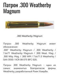 Steyr Mannlicher SBS pro hunter Carbon калибр 300WBY Magnum