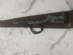 Steyr mannlicher Scout 308
