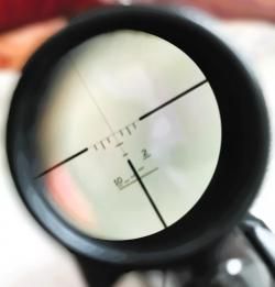 STEYR MANNLICHER SSG 69 (Austria)