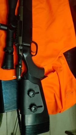 steyr mannlicher ssg 69